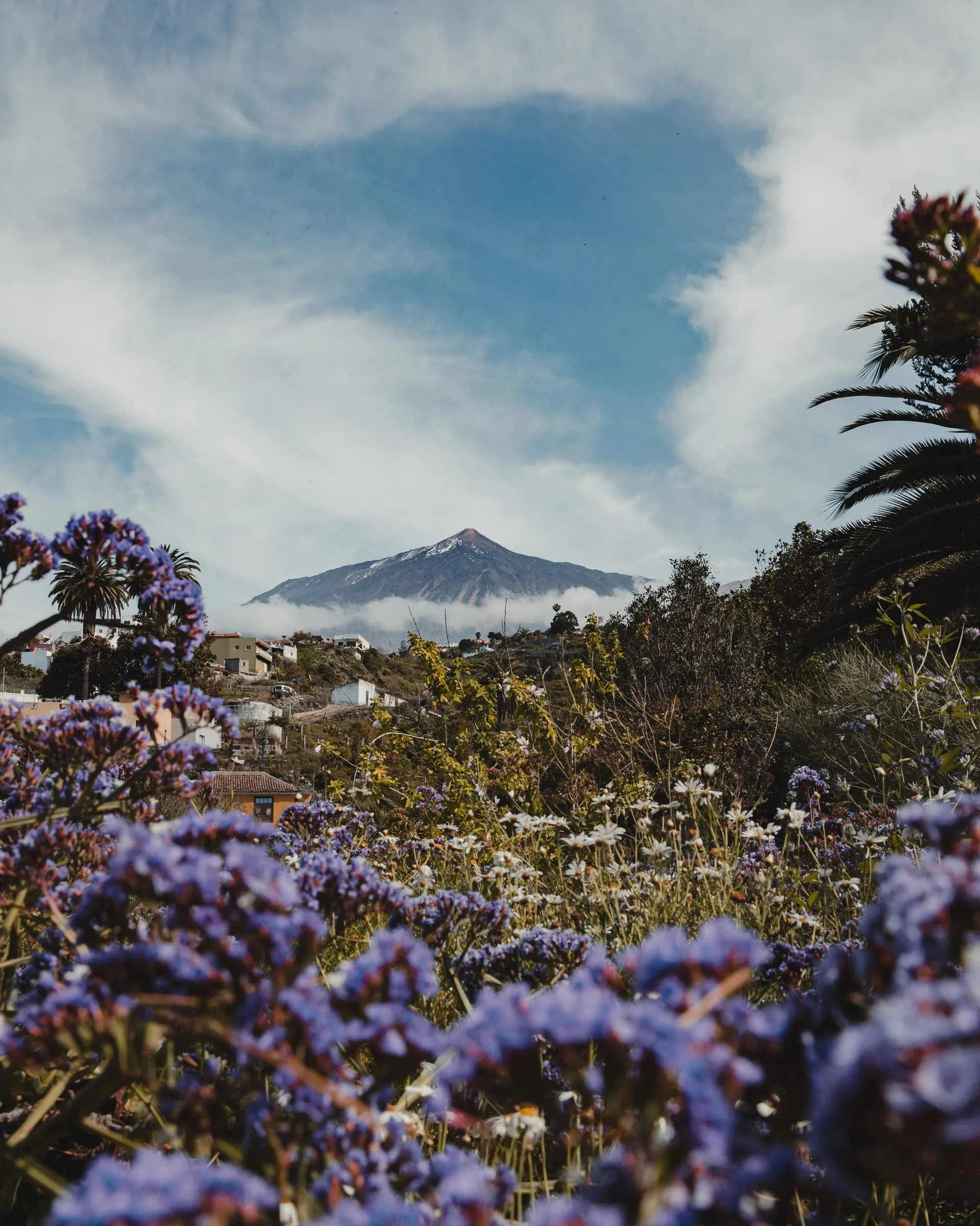 Photograph made in Teide, Tenerife