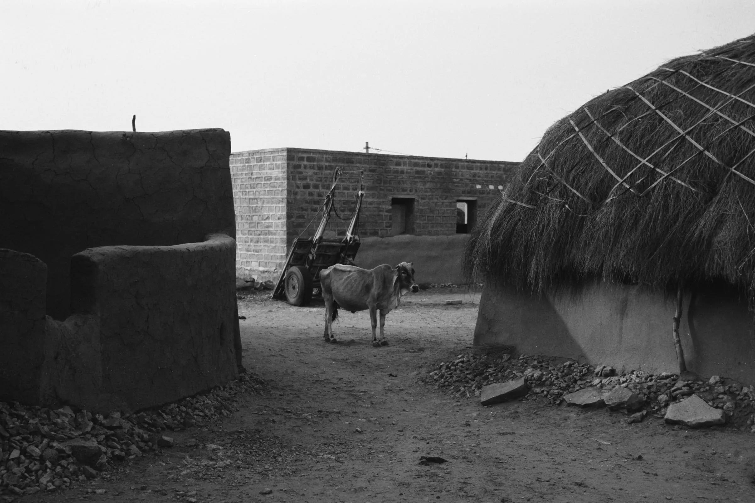 Ilford Ortho Plus 80 frame made in Kuhdi Desert