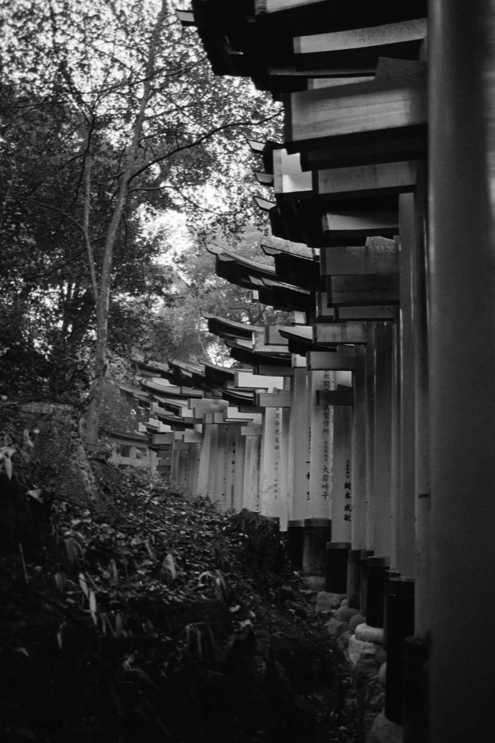 Ilford HP5+ frame made in Kyoto, Japan