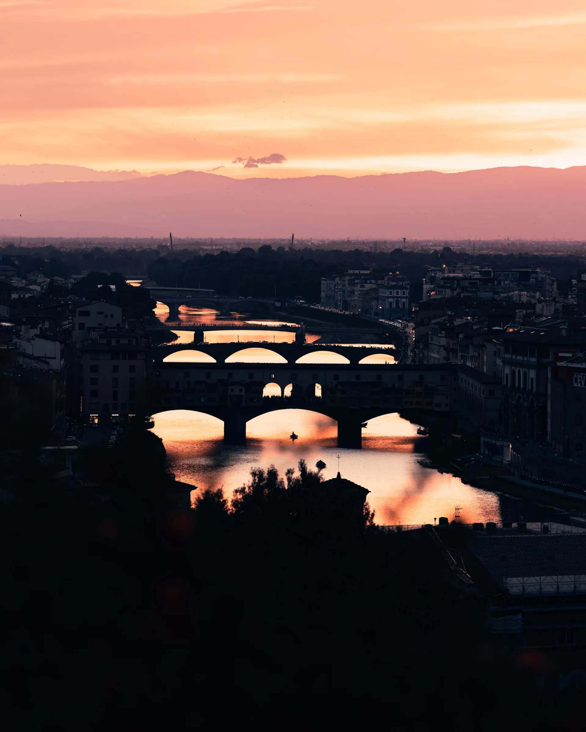 Photograph made in Florence
