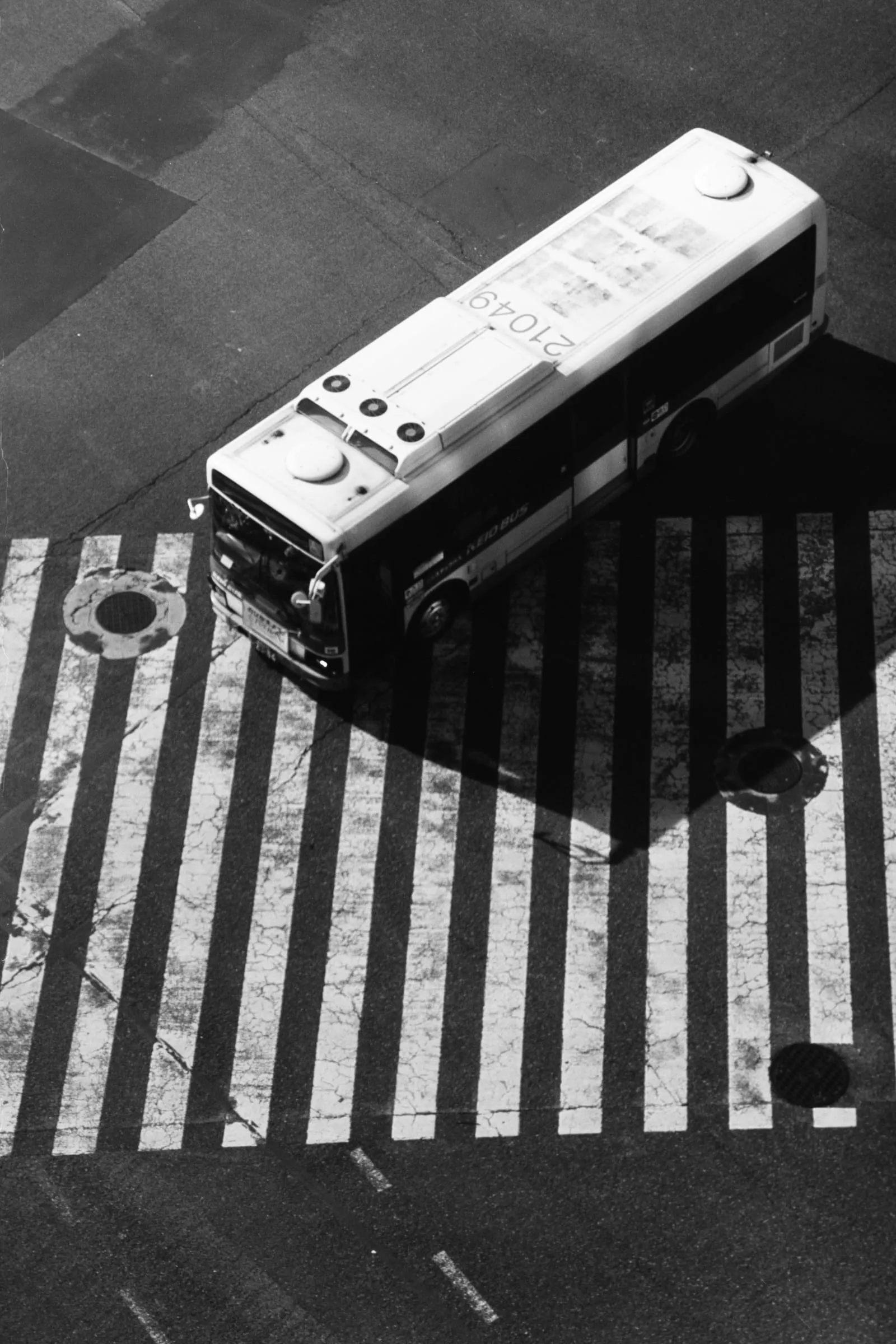 Ilford Ortho Plus 80 frame made in Tokyo, Japan