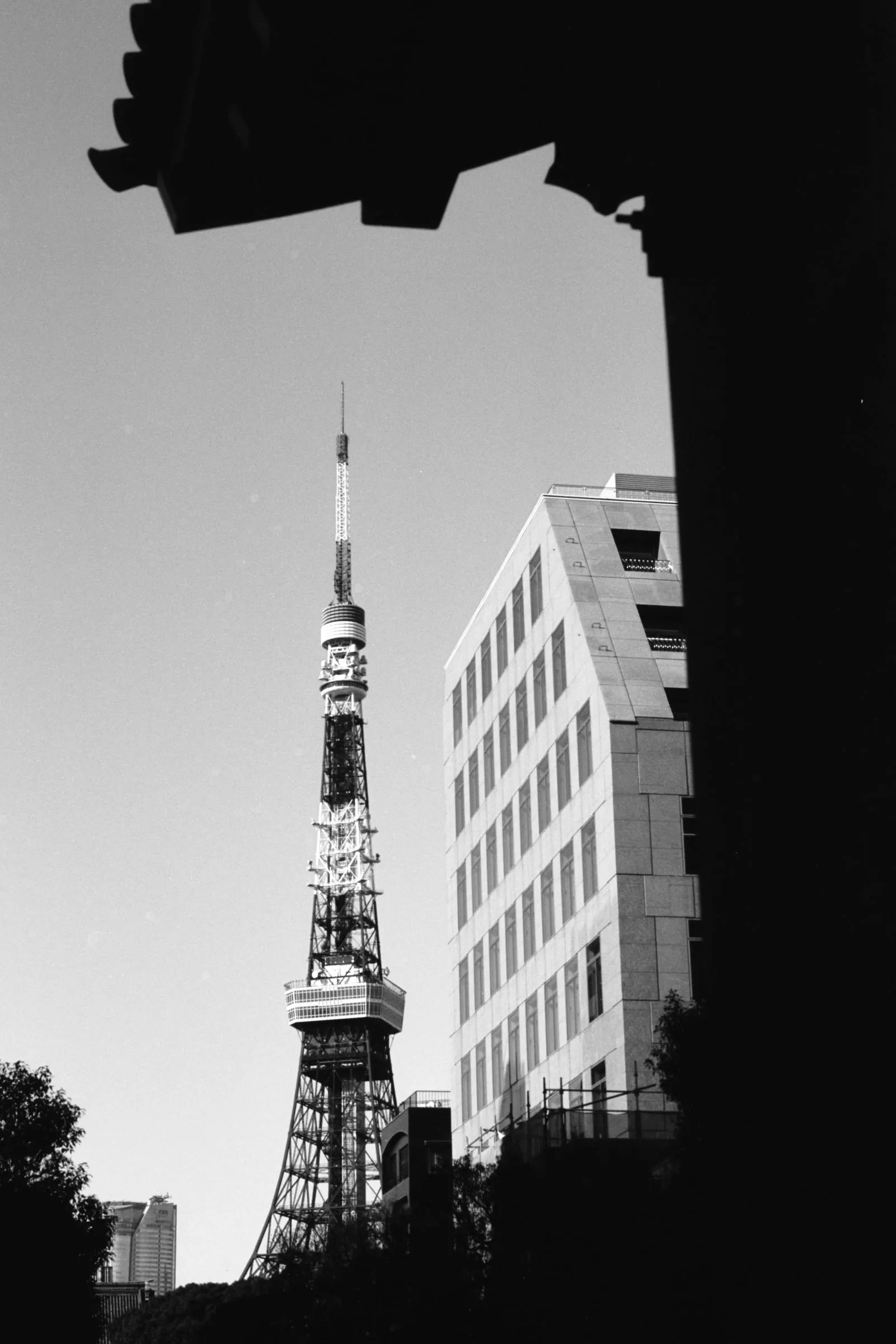 Ilford Ortho Plus 80 frame made in Tokyo, Japan
