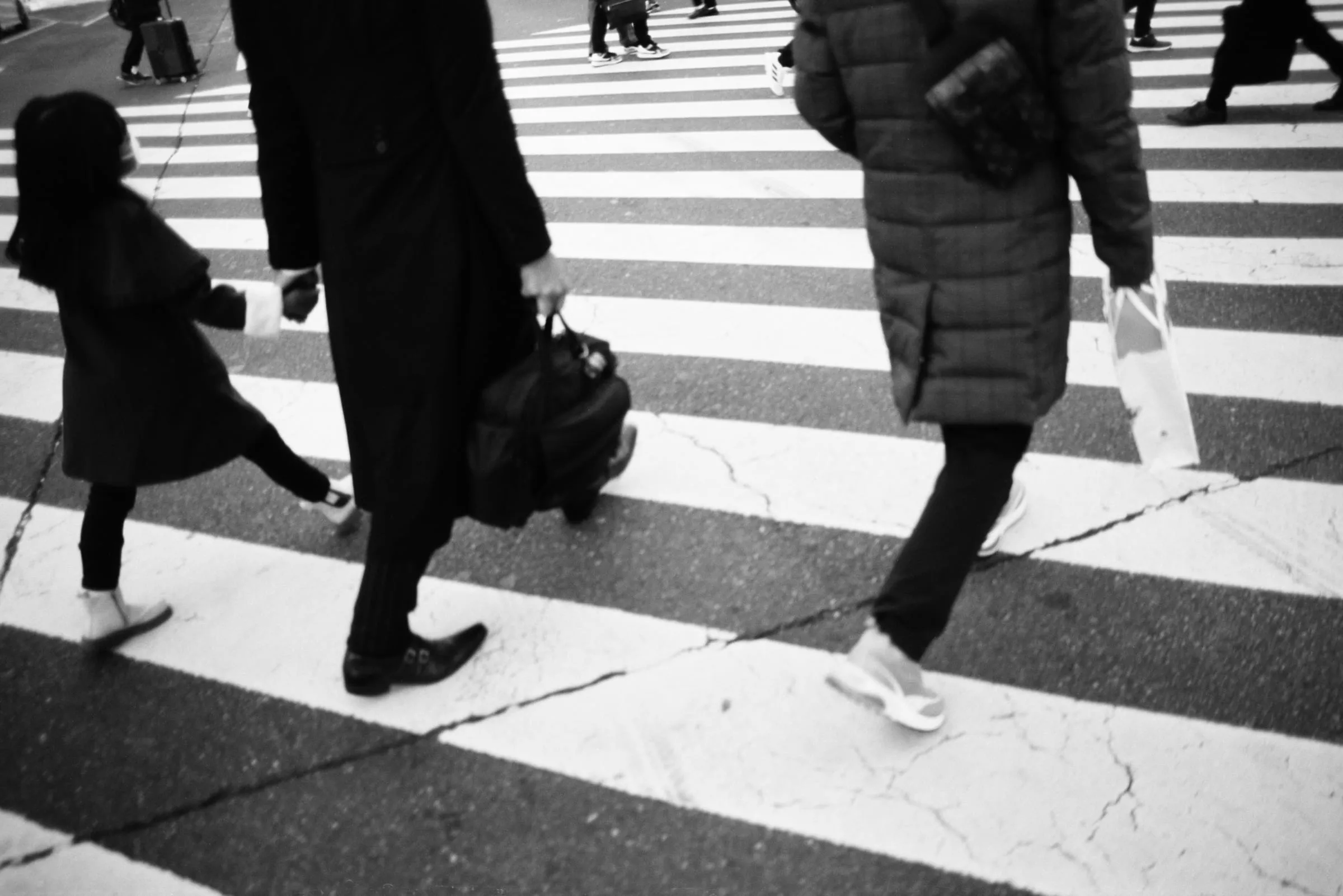 Ilford Ortho Plus 80 frame made in Tokyo, Japan