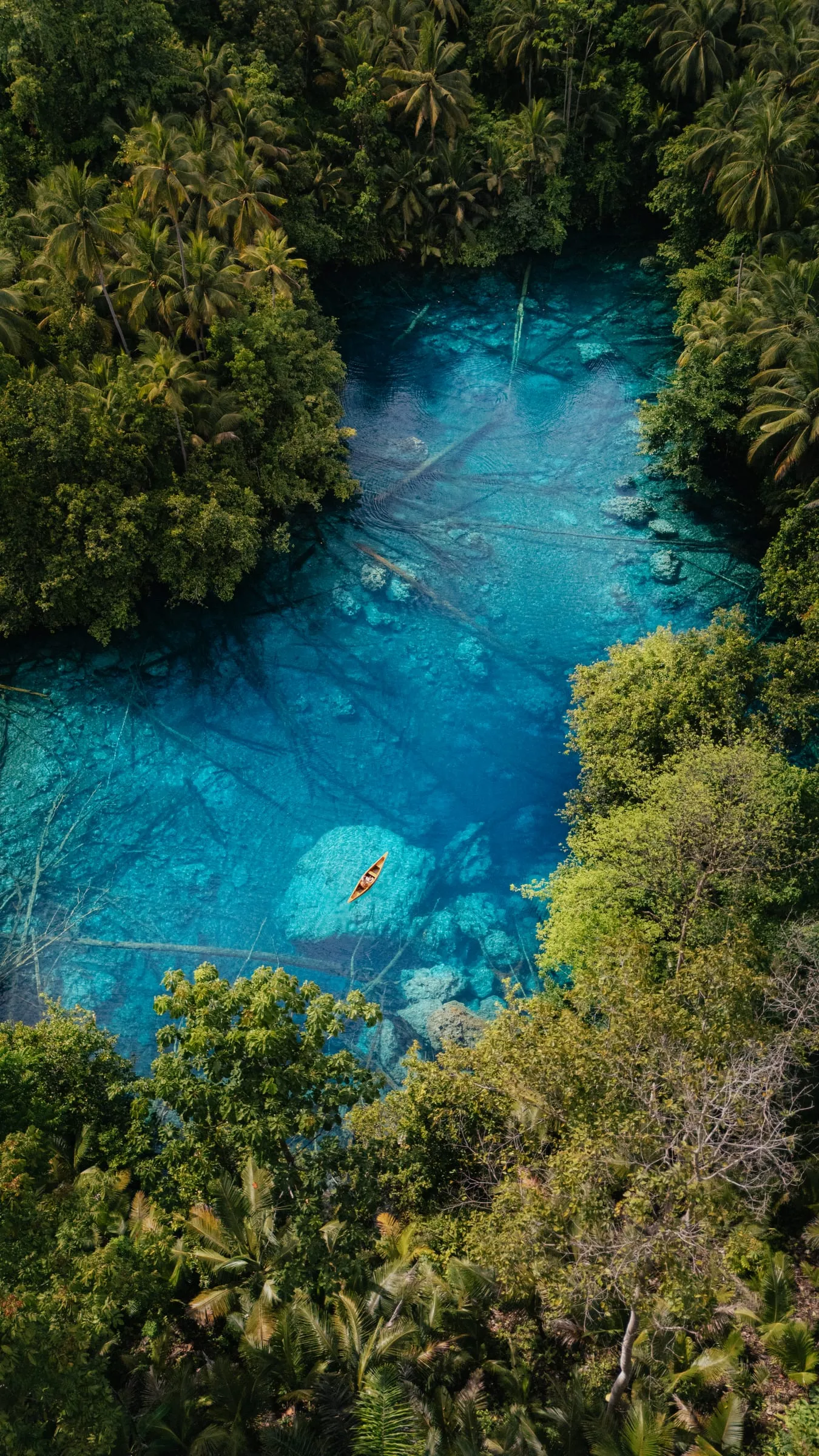 Photograph made in Sulawesi, Indonesia