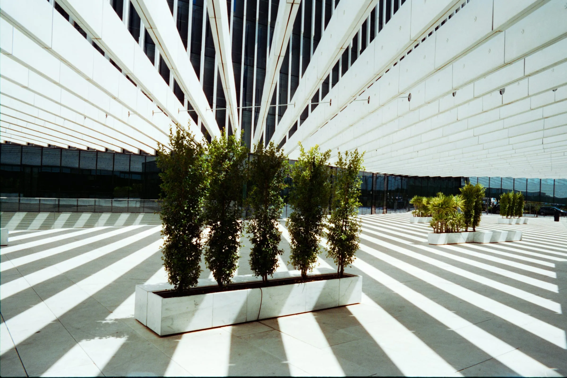 CineStill 400D frame made in Lisboa