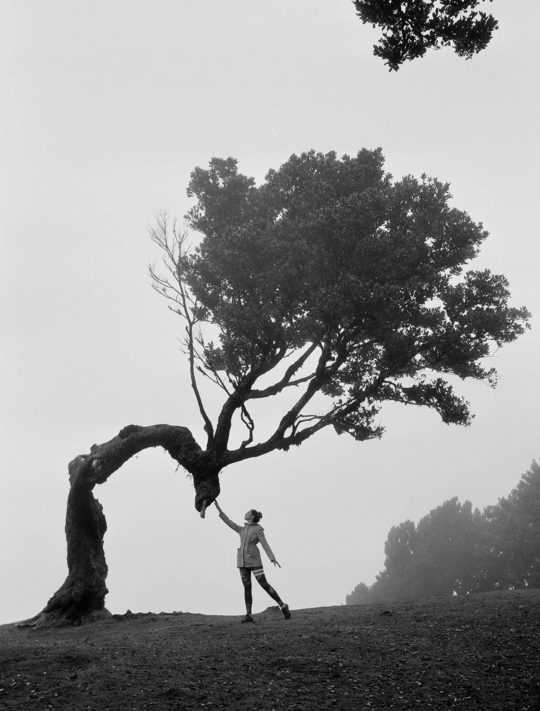 Ilford XP2 Super frame made in Madeira