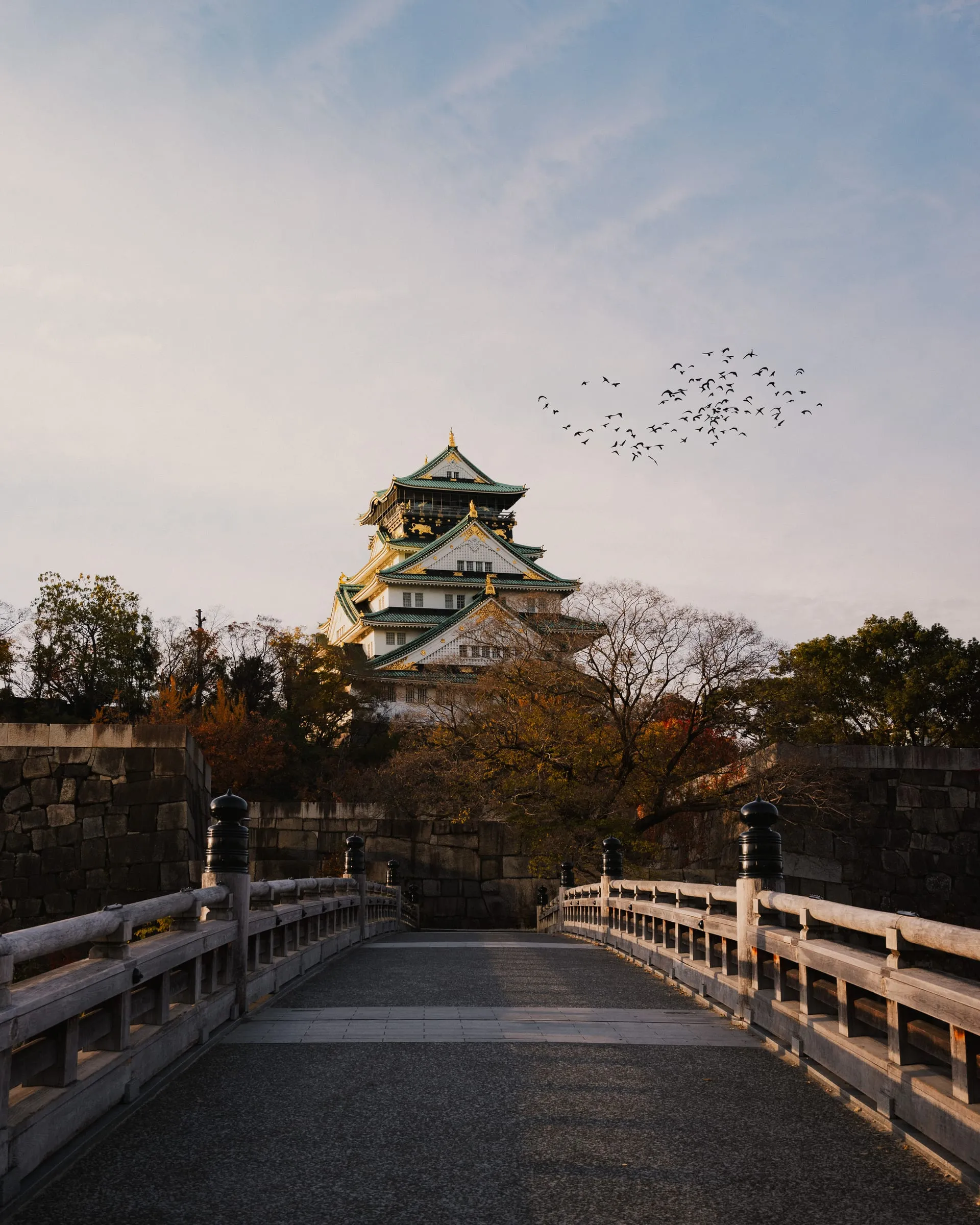 Photograph from Christian Lombardi's digital work